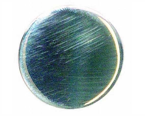 ROSETTE, PLAIN FLAT WITH 12MM LOOP ON BACK NP 25MM