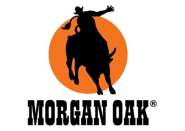 Morgan Oak