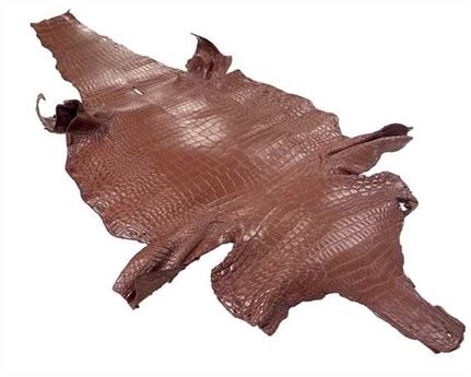 LEATHER EXOTIC CROCODILE SKIN BELLY BROWN (EACH)