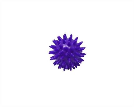 Axign Plantar Fasciitis Spiky Arch Massage Ball Purple