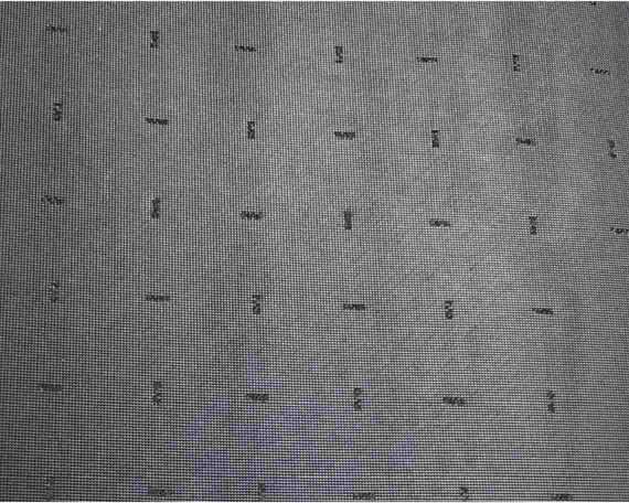 SVIG LA298 DIAMANTINA EXPORT 4mm BLACK 63 X 73cm