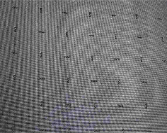 SVIG LA298 DIAMANTINA EXPORT 5mm BLACK 63 X 73cm