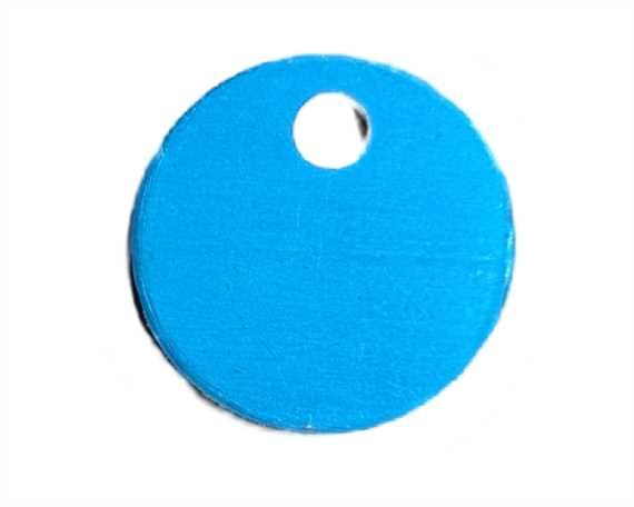 PET TAG ROUND 25MM TURQUOISE