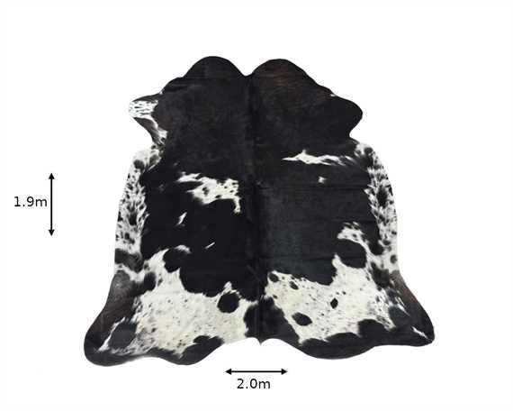  COWHIDE RUG TRI COLOUR LARGE (rug pictured sent)